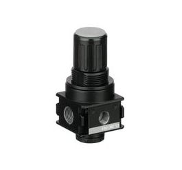 0821300713 NL1-RGS-G014-GAN-MAN-100-DS