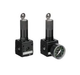 0821302410 NL2-RGS-G014-GAU-MAN-030-SS