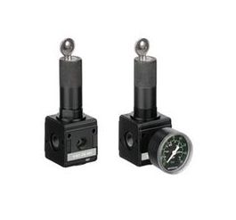 0821302542 NL4-RGS-G034-GAU-MAN-100-SS