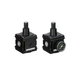 0821302803 NL6-RGS-G034-GAU-MAN-100-SS